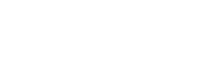 Metis Security Logo